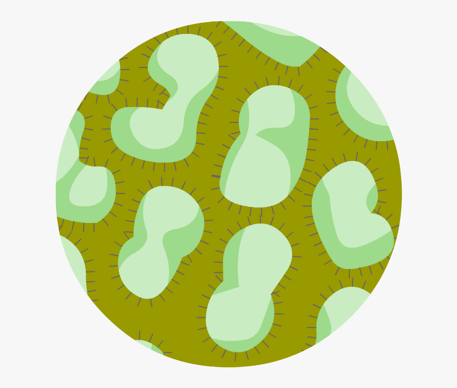 Illustration, Transparent Clipart