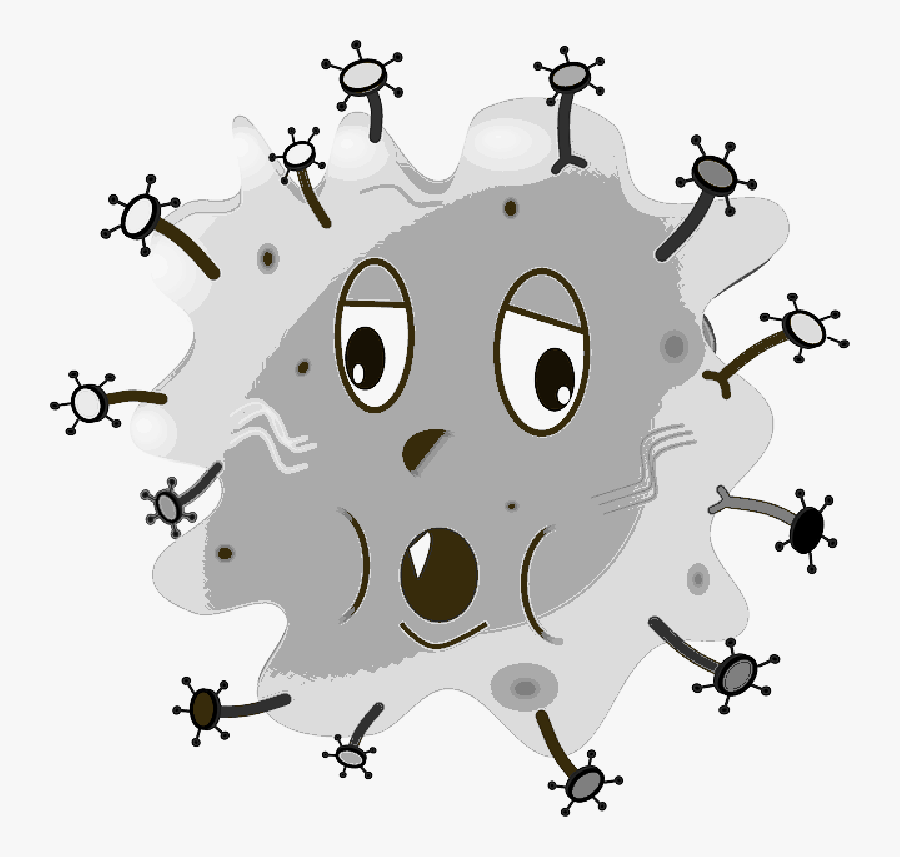 Bacteria For Kids, Transparent Clipart