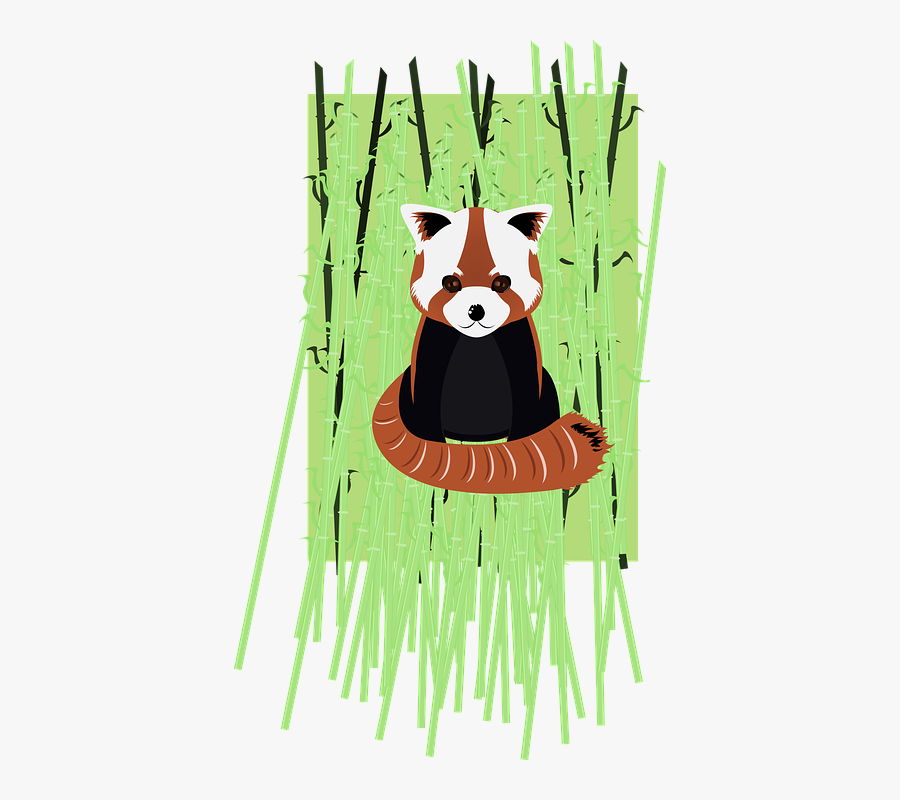 Transparent Red Panda Clipart - Endangered Red Panda Cartoon, Transparent Clipart
