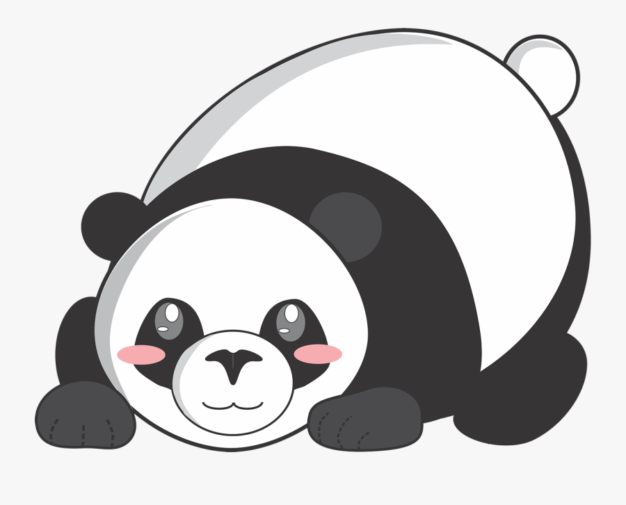 Small To Medium Sized - Panda Cartoon Png Cute, Transparent Clipart