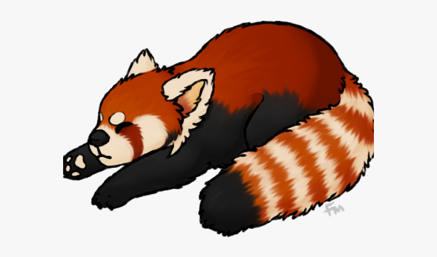 Red Panda Clear Background, Transparent Clipart