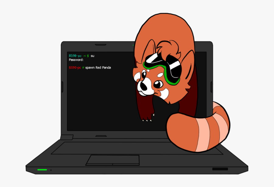 Transparent Red Panda Clipart - Netbook, Transparent Clipart