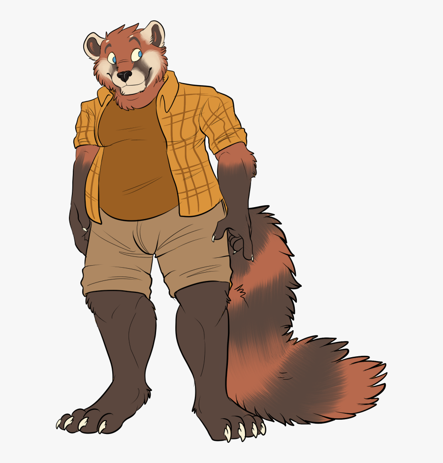 Red Panda Clipart Chubby - Chubby Red Panda Furry, Transparent Clipart