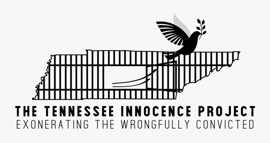 The Tennessee Innocence Project, Located In Nashville, - Silhouette, Transparent Clipart