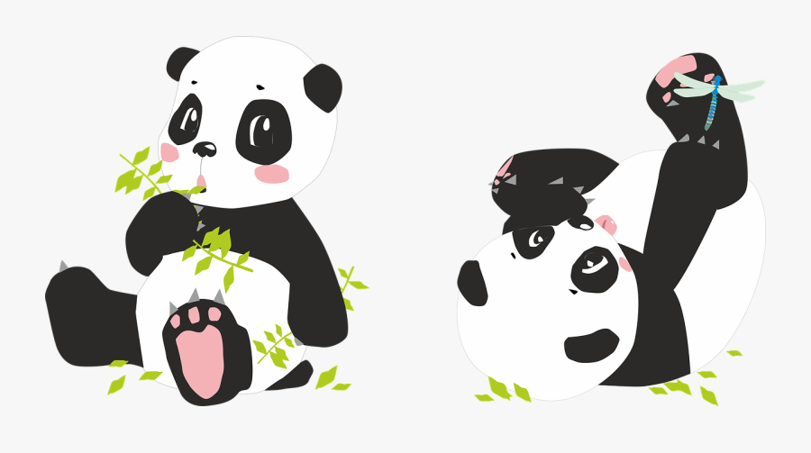 Panda Pandas Bear Image Pixabay - Love Miss You Already Quote, Transparent Clipart