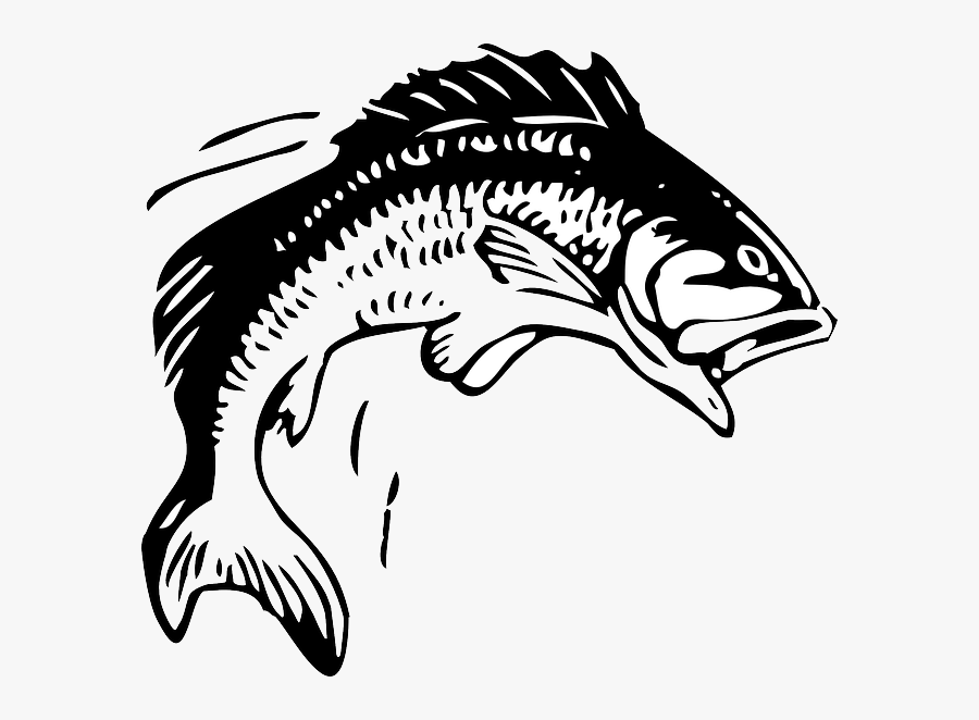 Animals-30821 - Fish Jumping Out Of Water Clipart, Transparent Clipart