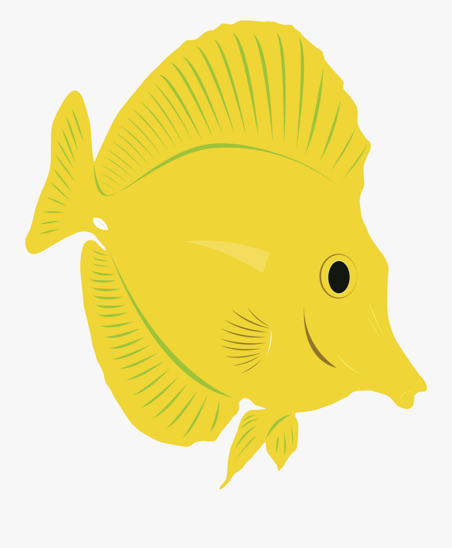 Yellow Tang Drawing At Getdrawings - Illustration, Transparent Clipart