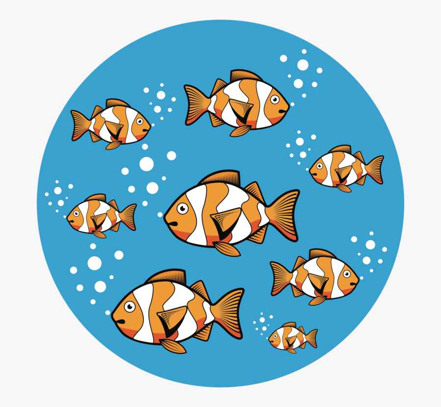 Anemone Fish,fish,pomacentridae, Transparent Clipart