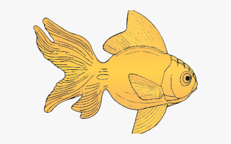 Transparent Dr Seuss Fish Clipart - Gold Fish Clip Art, Transparent Clipart