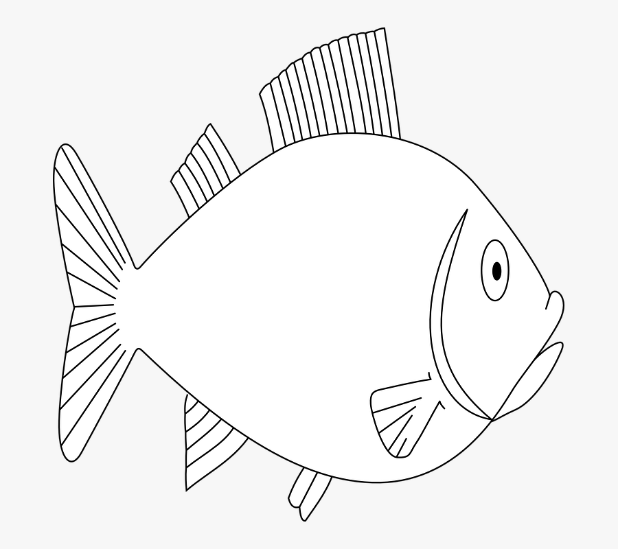 Transparent Fish Outline Png - Deniz Altı Balık Çizim, Transparent Clipart