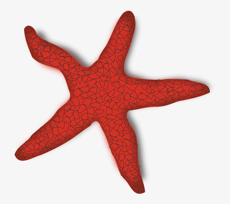 Red, Outline, Star, Silhouette, Cartoon, Fish, Free - Starfish Clip Art, Transparent Clipart