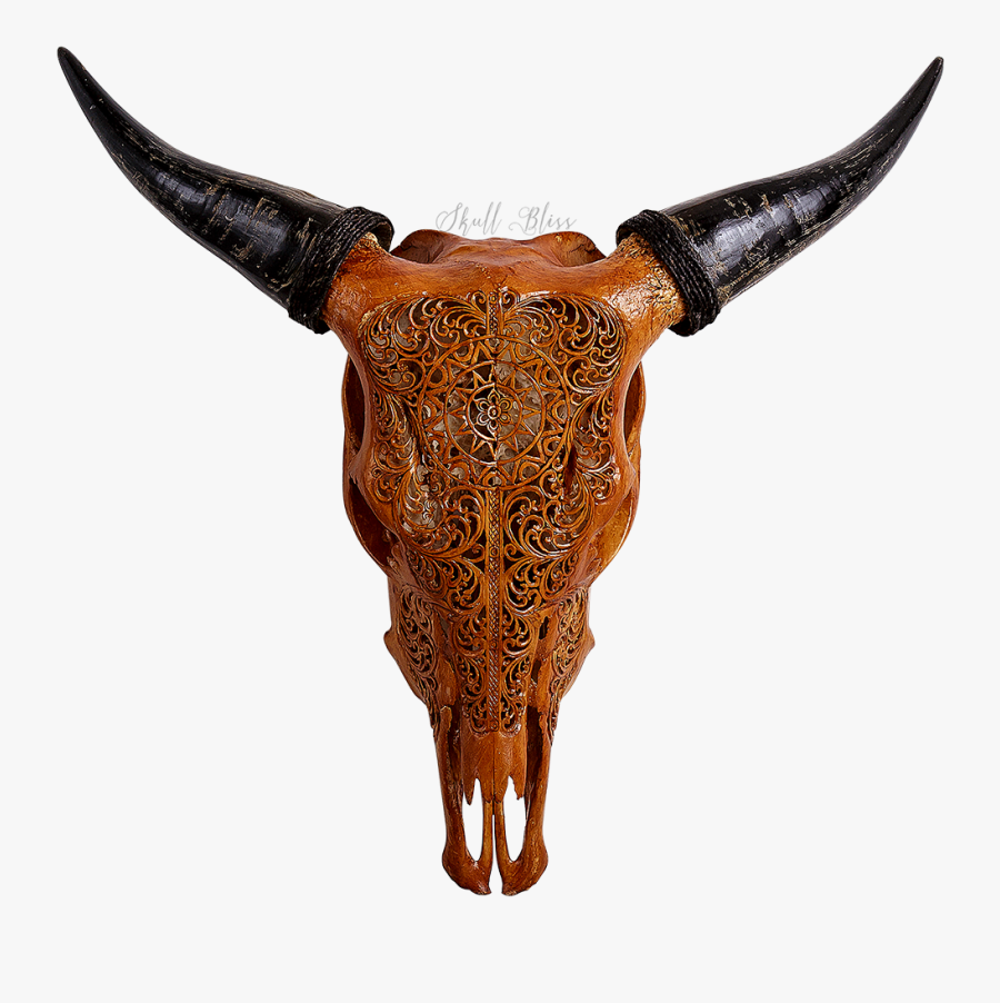 Carved Cow Skull - Skull, Transparent Clipart