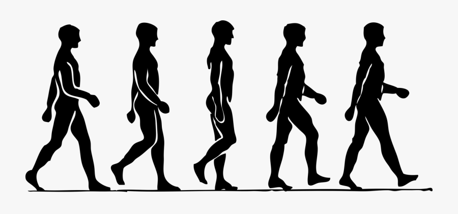 Inactivity Vs - Walking Man, Transparent Clipart