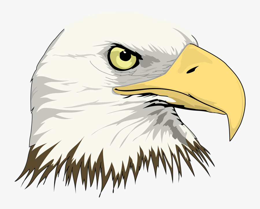 Bald Eagle Drawing Clip Art - Cartoon Eagle Head Png, Transparent Clipart