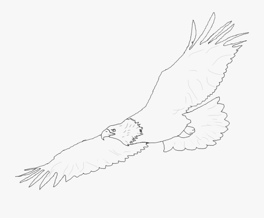 Bald Eagle Clipart Simple - Eagle Flying Lineart, Transparent Clipart