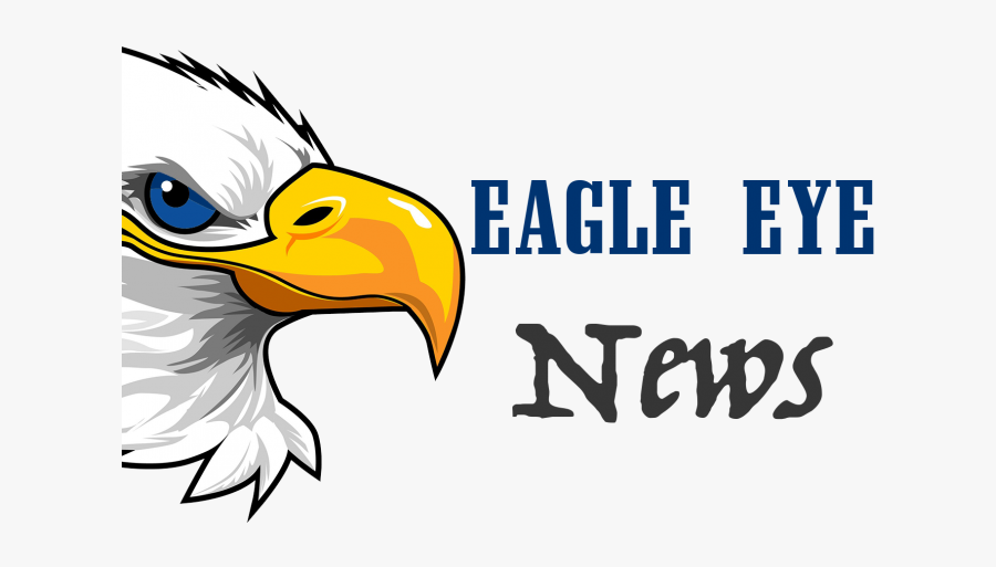 Through The Eyes Of The Eagle - Clip Art Eagle Eye, Transparent Clipart