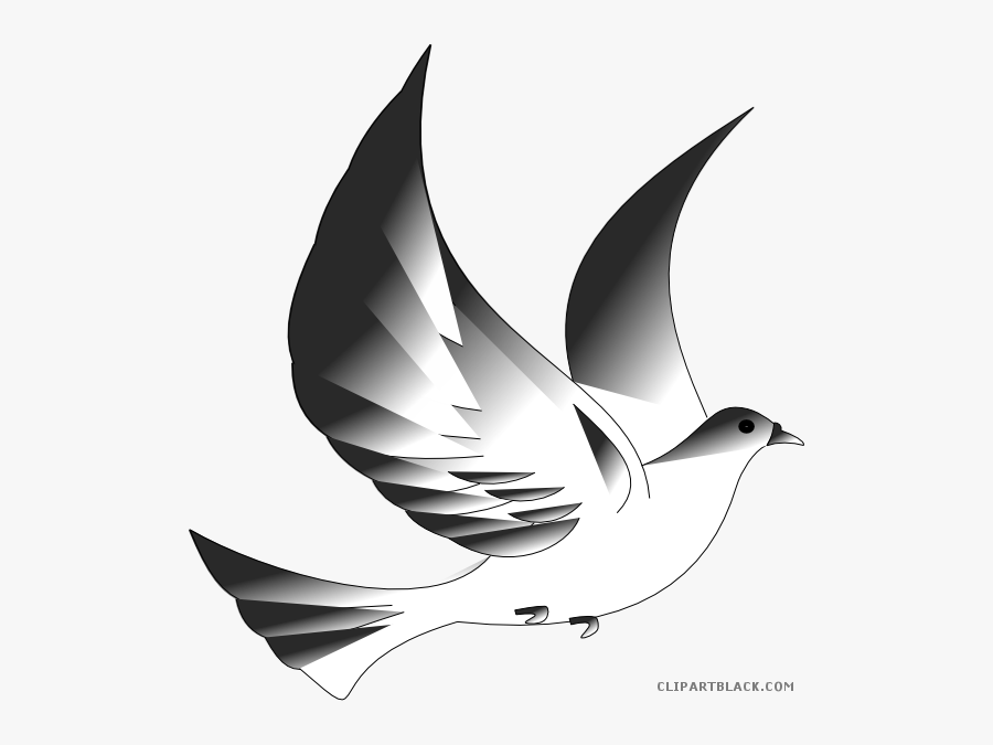 Dove Animal Free Black White Clipart Images Clipartblack - Confirmation Png, Transparent Clipart