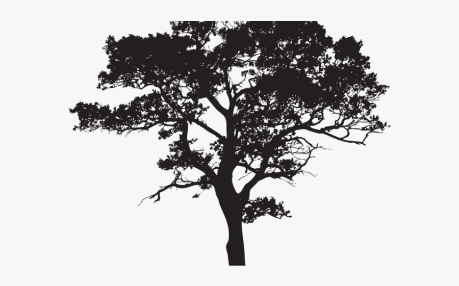 Clip Art Tree Black And White, Transparent Clipart