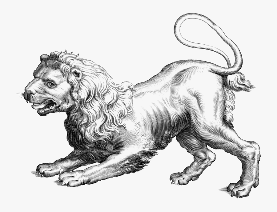 Leo Png Clipart - Johannes Hevelius Leo, Transparent Clipart