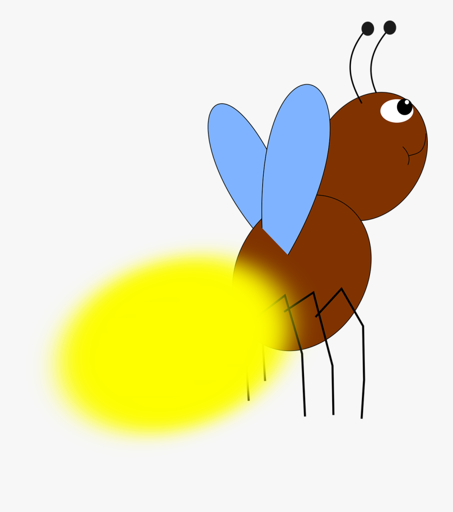 Firefly Clipart For Free Download - Rysunek Świetlika, Transparent Clipart