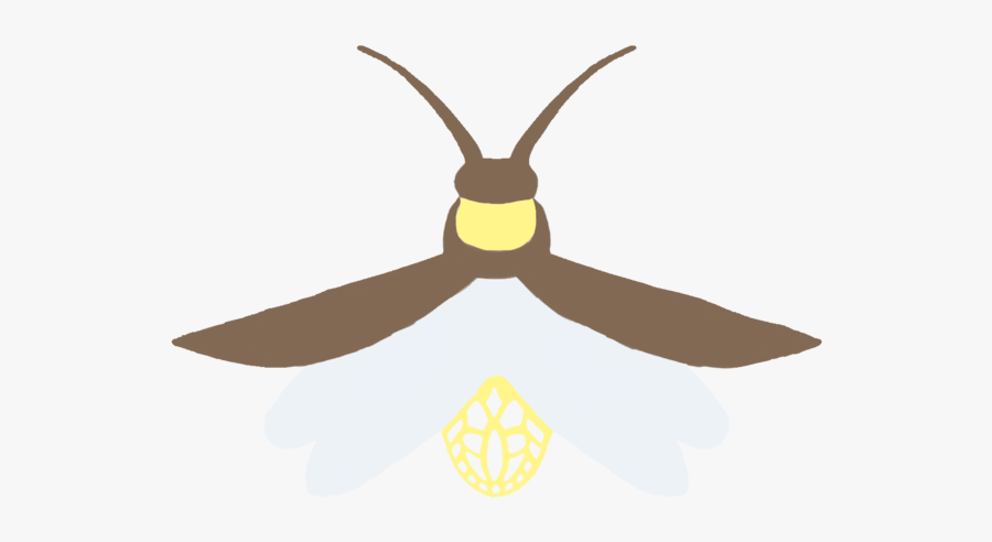 Firefly Transparent Background - Illustration, Transparent Clipart