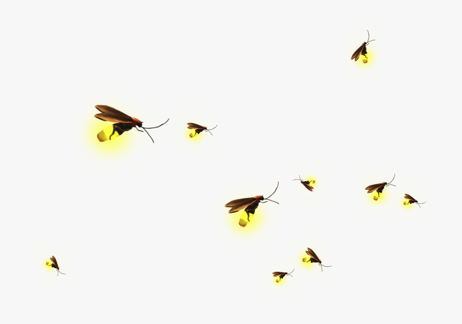 Clip Art Material Transprent Png Free Download - Transparent Firefly Png, Transparent Clipart