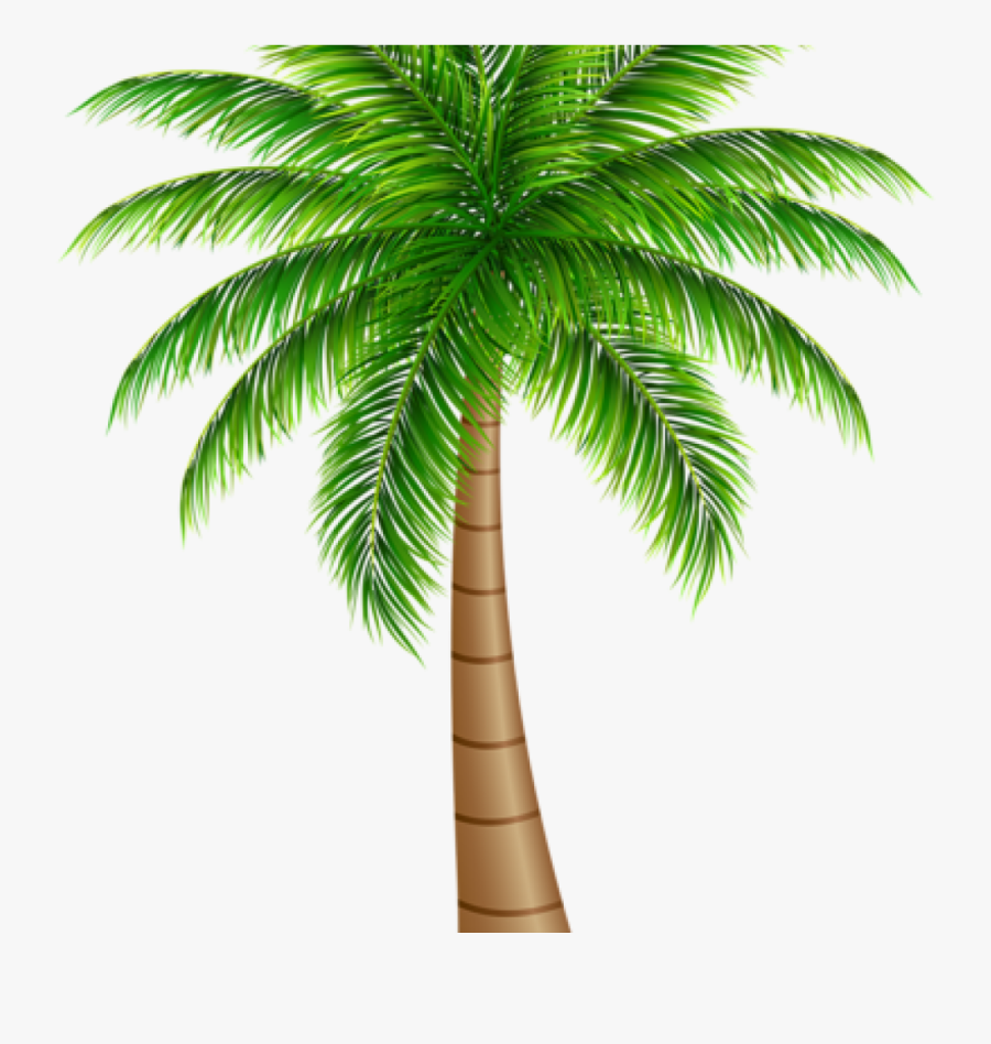 Palm Clipart Palm Tree Large Png Clip Art Image Art - Clipart Palm Tree Png, Transparent Clipart