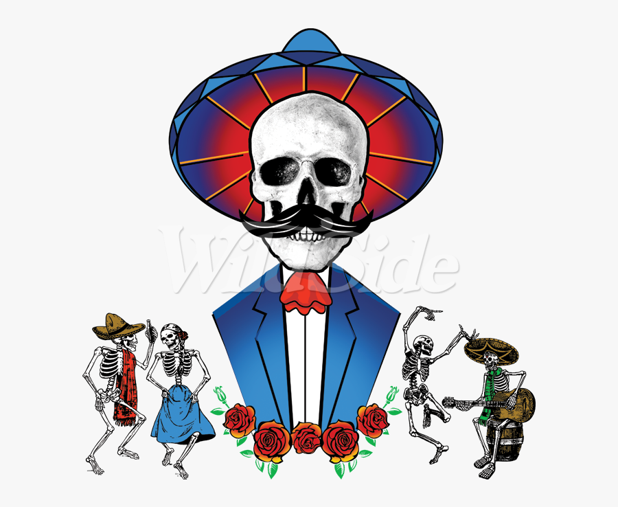 Skull, Transparent Clipart