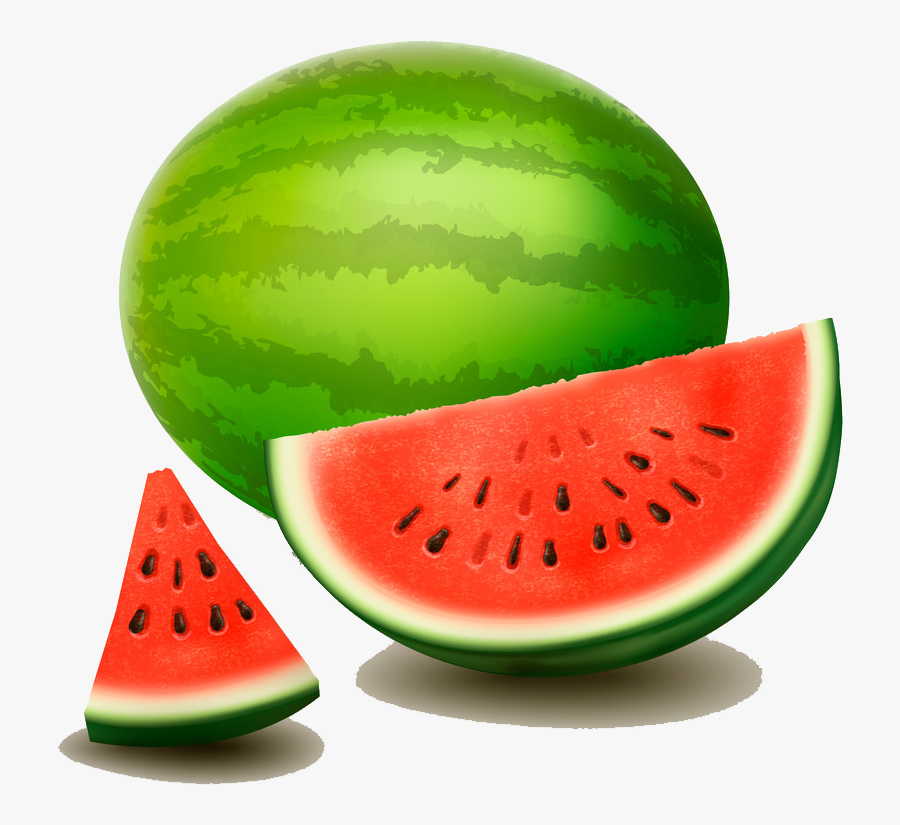 Citrullus Lanatus Drawing Photography Watermelon Illustrator - Drawing Water Melon, Transparent Clipart