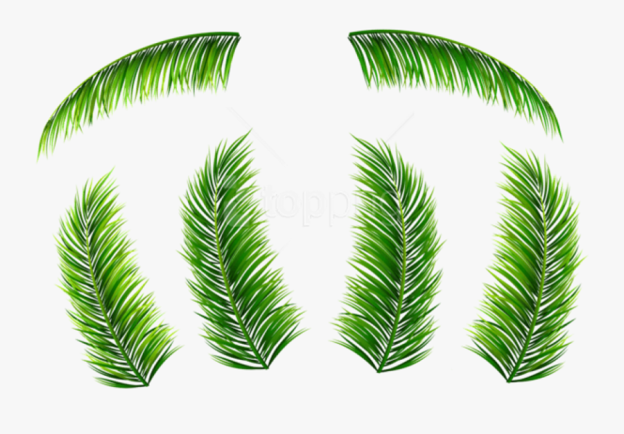Palm Tree Clipart Watercolor Jpg - Palm Leaf Png Free, Transparent Clipart