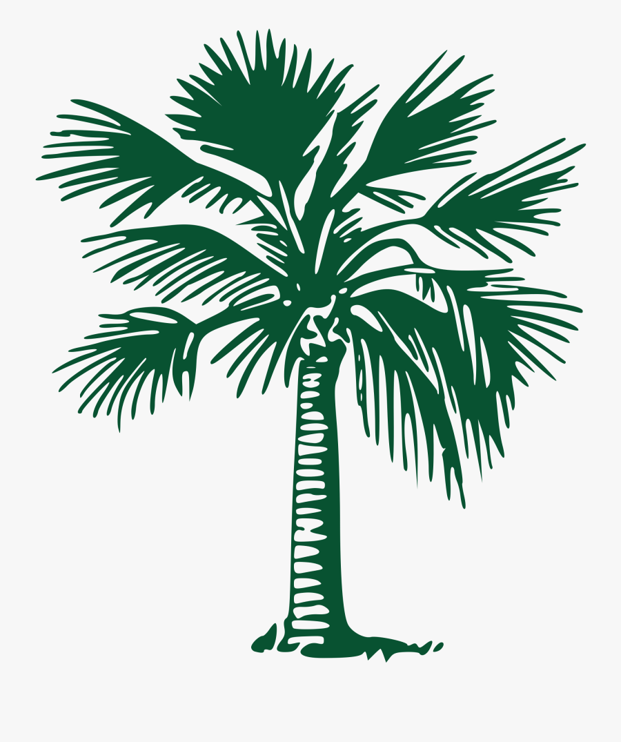 Clipart Tree Palmyra Palm - Palmera En Silueta Verde Png, Transparent Clipart