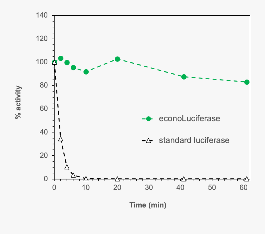 Firefly Luciferase Stability, Transparent Clipart