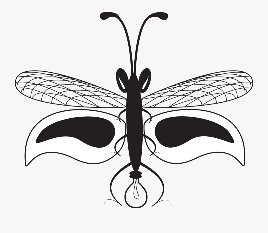 Firefly Black And White Clipart - Insect, Transparent Clipart