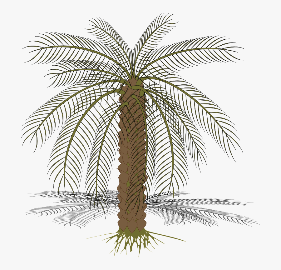 Palm-02 - Pohon Kurma Vector Png, Transparent Clipart