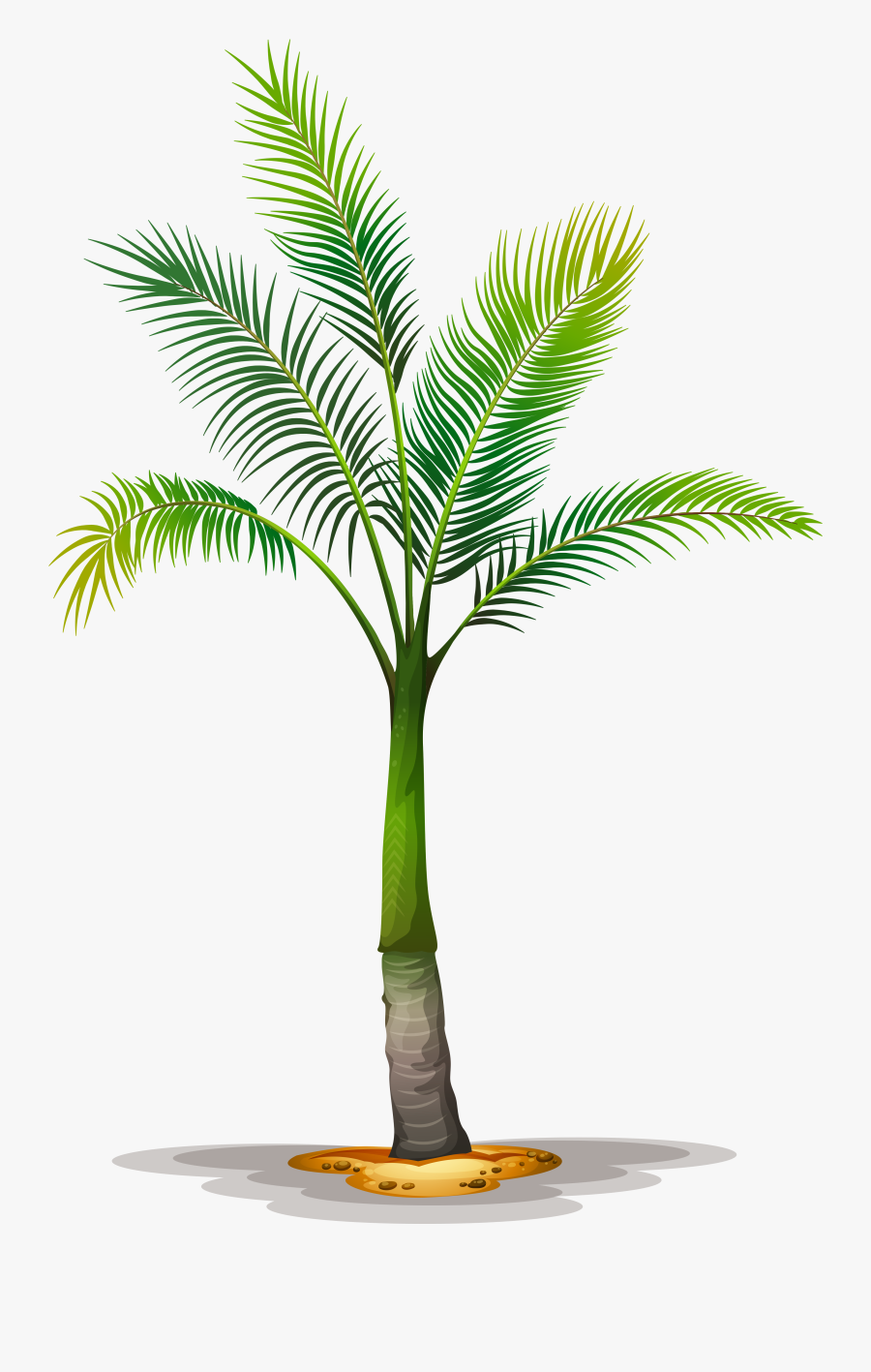 Date Palm Clipart Tropical Tree - Palm Tree Png File Free Download, Transparent Clipart