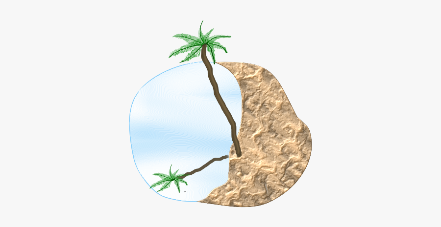 Palm Beach - Illustration, Transparent Clipart