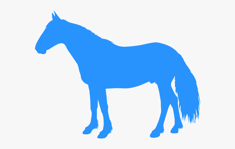 Mustang Horse, Transparent Clipart