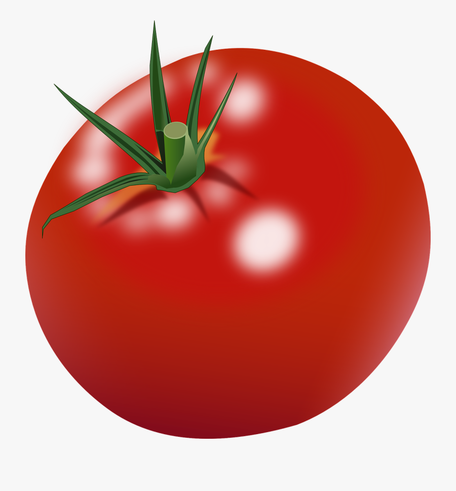 Tomato, Ripe, Red, Food, Healthy, Fresh, Natural - Red Tomato Clip Art, Transparent Clipart