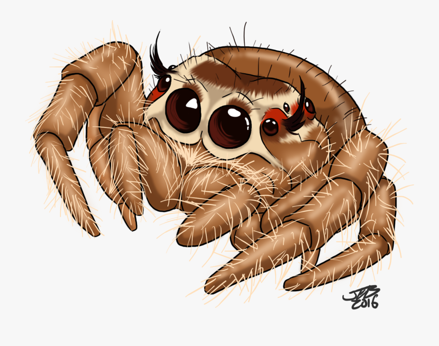 Cute Drawing At Getdrawings - Cute Jumping Spider Drawing, Transparent Clipart