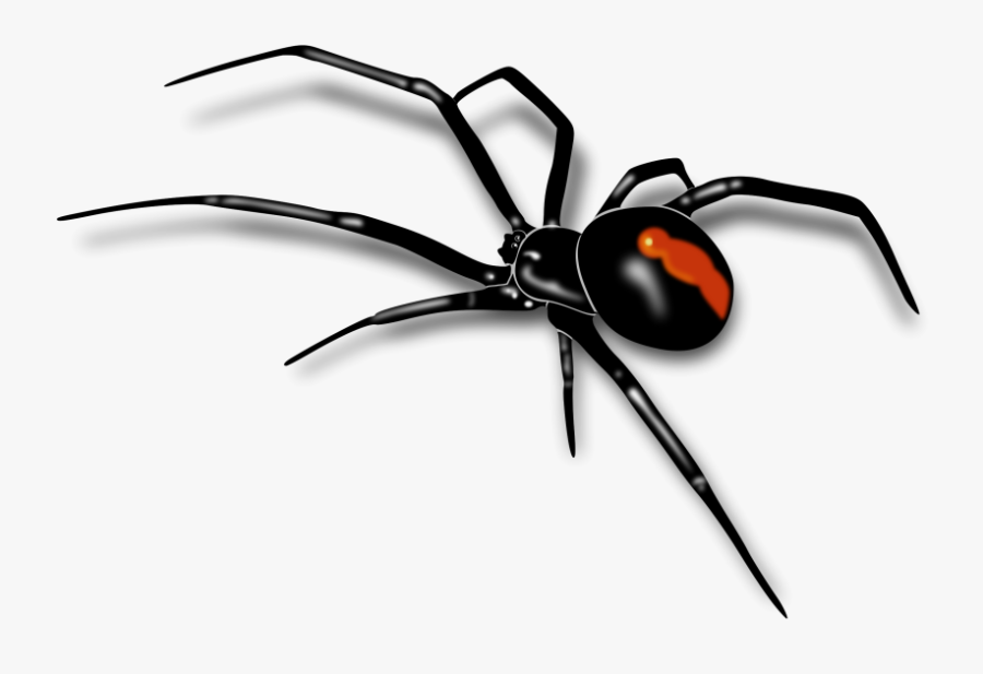 Spider Black And White Spider Clipart 2 Wikiclipart - Black Widow Spider Png, Transparent Clipart