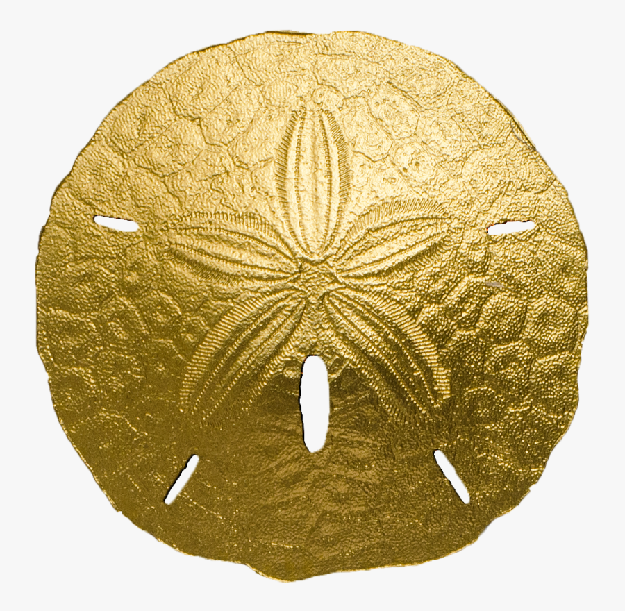 Sand-dollar - Sand Dollar Coin, Transparent Clipart