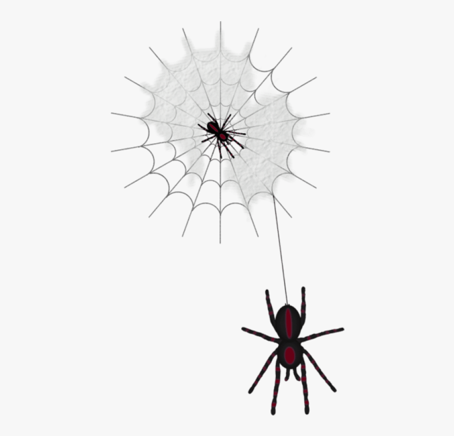 Halloween Web With Spiders Png Clipart - Spaiders Png, Transparent Clipart