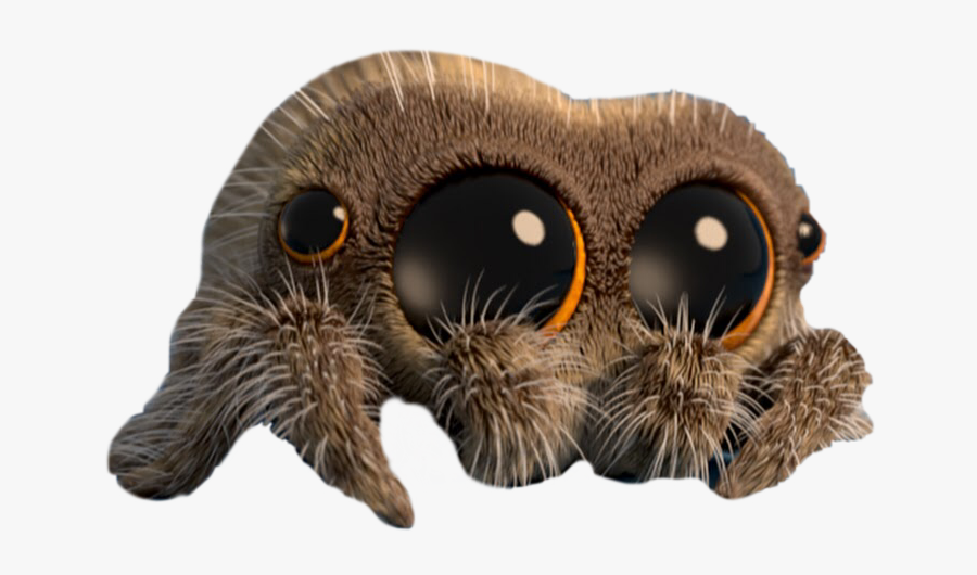 #lucas #lucasthespider #cute #spider #animal #insect - Lucas Spider, Transparent Clipart