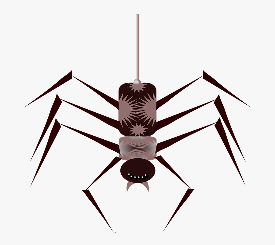 Spider, Bug, Insect, Hanging, Sting, Arachnid - Spider Cartoon Gif Png, Transparent Clipart