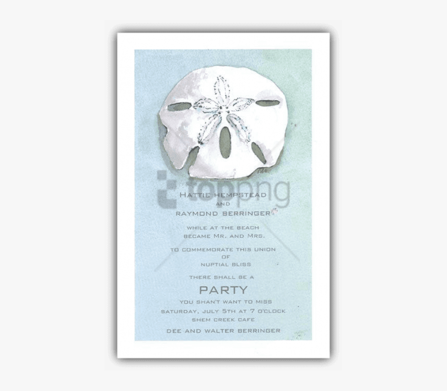 Sand-dollar - Skull, Transparent Clipart