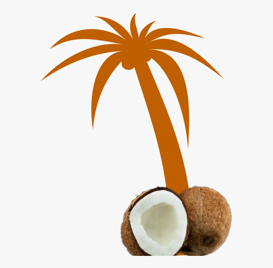 Mq Orange Palmtree Palm Coconut - Palm Tree Clip Art Blue, Transparent Clipart