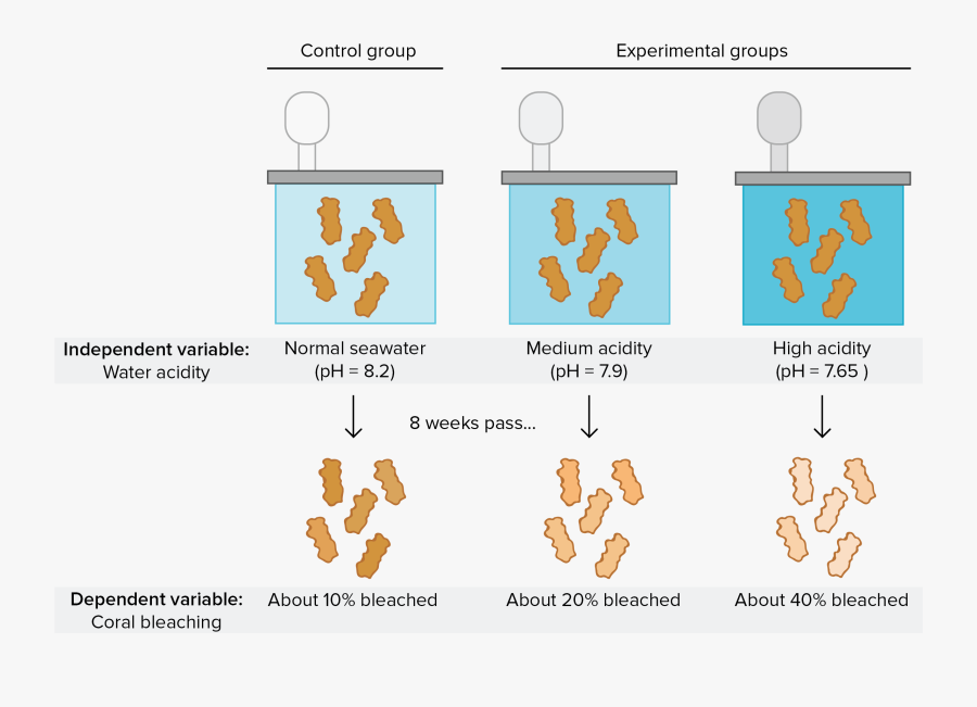Introduction To Experimental Design - Science Variables Clip Art, Transparent Clipart