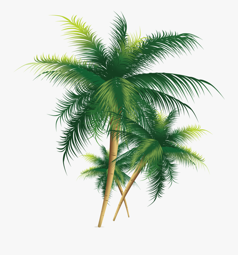 Coconut Tree Exquisite Free Hd Image Clipart - Transparent Coconut Tree Png, Transparent Clipart