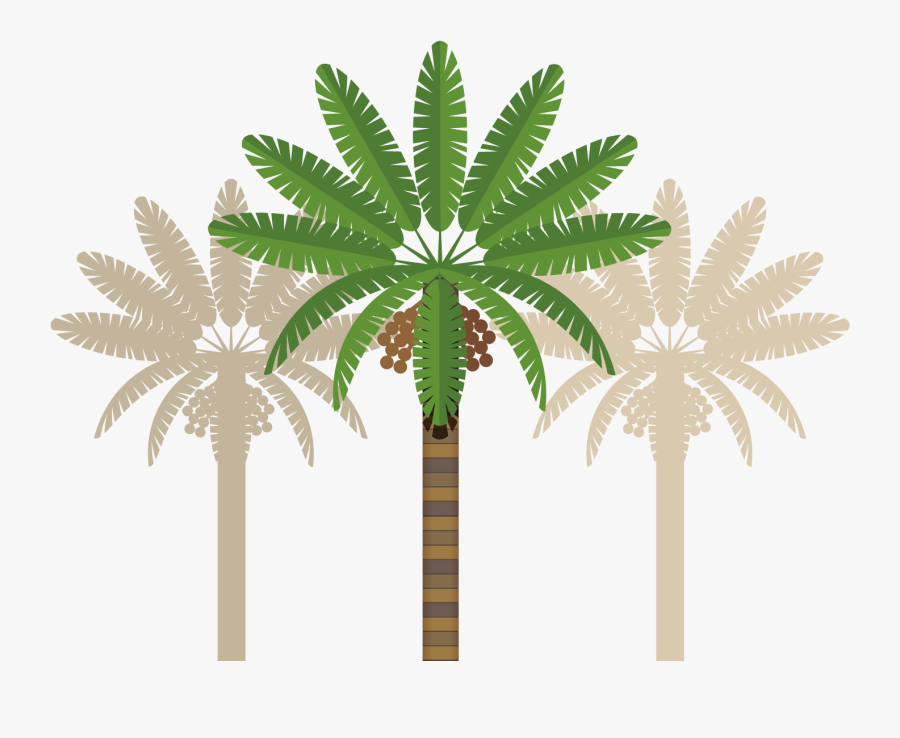 Leaves Clipart Coconut Tree - Dubai Tree Clipart, Transparent Clipart