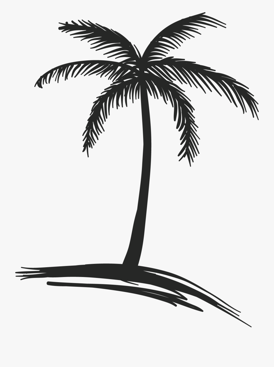 Coconut Tree Drawing - Drawing Coconut Trees, Transparent Clipart